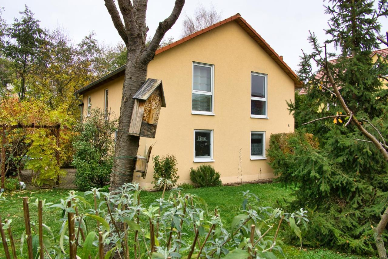 Mycozyplace - Gemuetliches Zimmer Fuer Zwei Dresde Exterior foto